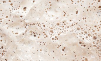 【日本・フランス】農研機構、フランス関係団体と「美食と健康」「発酵」で日仏連携