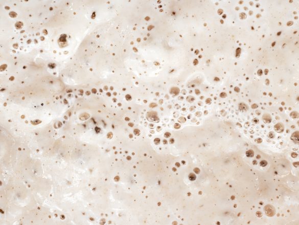 【日本・フランス】農研機構、フランス関係団体と「美食と健康」「発酵」で日仏連携