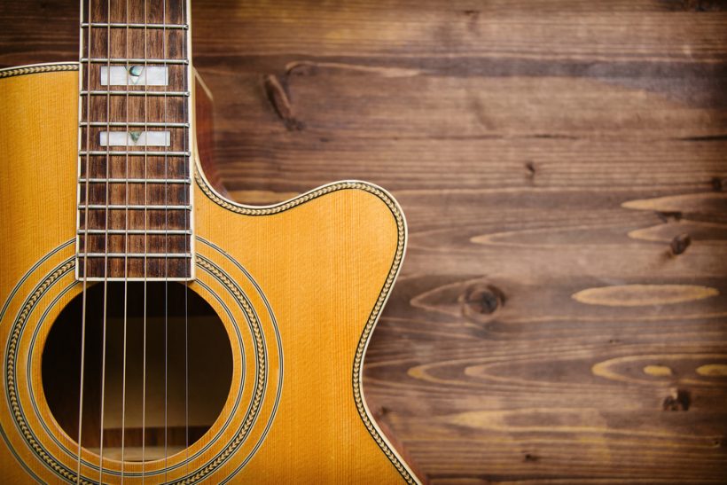 【インド】ヤマハ、持続的な森林保全促進で製材業者と連携協定。ギターのサプライチェーン 3 【インド】ヤマハ、持続的な森林保全促進で製材業者と連携協定。ギターのサプライチェーン 3