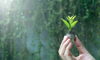 【国際】TNFD、自然移行計画ガイダンス発行。開示20項目定義。TPT土台に