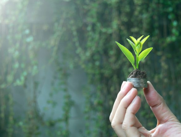 【国際】TNFD、自然移行計画ガイダンス発行。開示20項目定義。TPT土台に