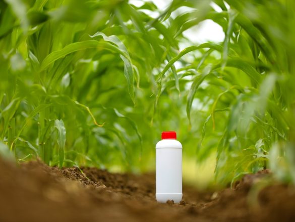 【EU】欧州委、食品・飼料安全規制の簡素化案発表。農薬、飼料添加物、国境検疫等