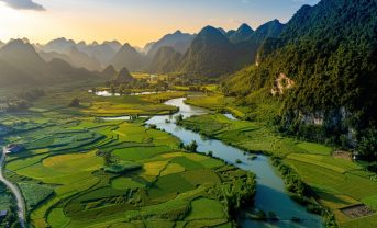 【ベトナム】ネスレとベトナム農業環境省、農家のリジェネラティブ農法導入支援で提携