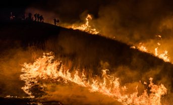 【日本】林野庁、消防庁、気象庁、林野火災予防で新施策開始。「少雨気象情報」発表等