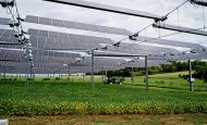 【日本】農水省、2023年度末の営農型太陽光発電設備の設置許可件数発表。新規許可が減少