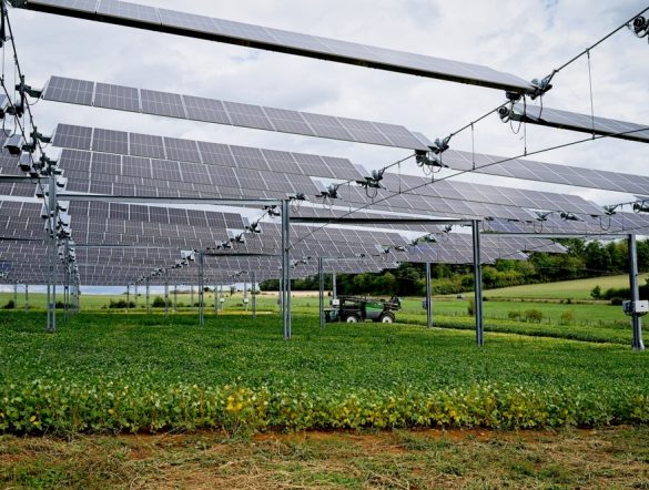 【日本】農水省、2023年度末の営農型太陽光発電設備の設置許可件数発表。新規許可が減少