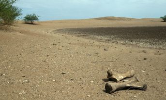 【国際】世界は一時的な水危機ではなく、もはや慢性的な「水破産」。国連大学研究チーム