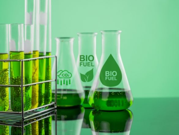 【オランダ】グレンコア、低炭素燃料スタートアップ・フィンコエナジーズ買収