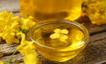 【国際】コルテバとbp、バイオ燃料原料製造合弁Etlas設立。中間作物使用、SAF需要増に対応