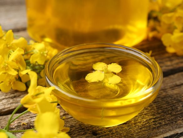 【国際】コルテバとbp、バイオ燃料原料製造合弁Etlas設立。中間作物使用、SAF需要増に対応