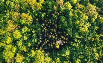 【国際】CDPヘルスチェック2026、15%の企業がAもしくはA-取得。日本と金融が牽引