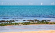 【イギリス】第7次再エネオークション、洋上風力8.4GW成立。天然ガス火力発電価格下回る