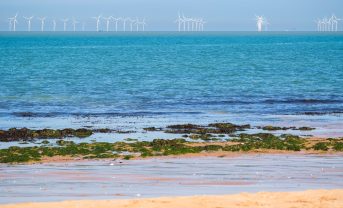 【イギリス】第7次再エネオークション、洋上風力8.4GW成立。天然ガス火力発電価格下回る