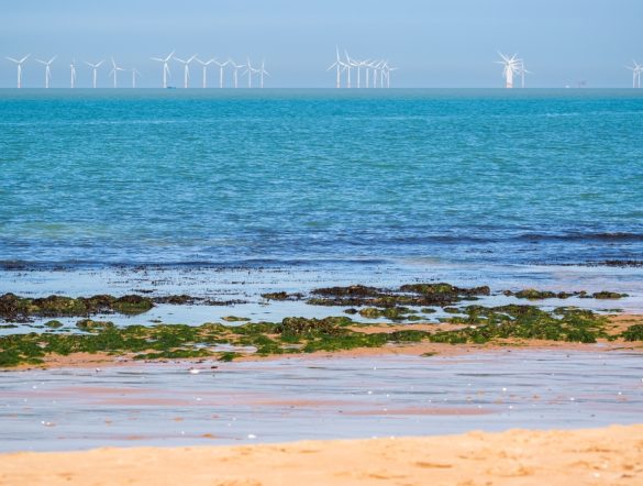 【イギリス】第7次再エネオークション、洋上風力8.4GW成立。天然ガス火力発電価格下回る