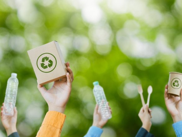 【国際】紙・包装業界、サステナビリティが実行・収益化フェーズへ。ベイン分析