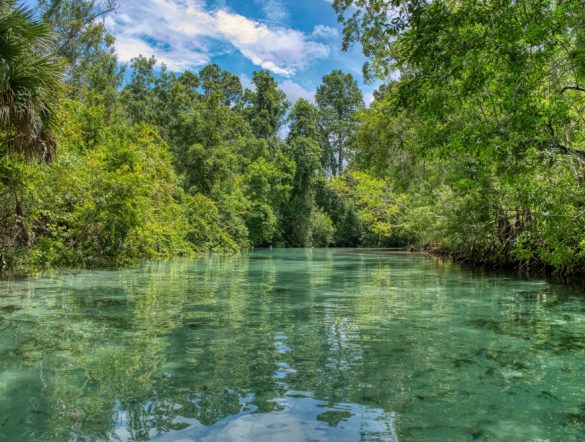 【アメリカ】EPA、水質浄化法の運用ルール改正へ。パイプライン建設等で州政府の規制権限縮小