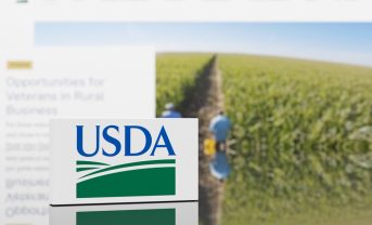 【アメリカ】農務省、リジェネラティブ農業促進に1000億円。実践生産者を直接支援