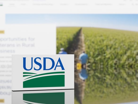 【アメリカ】農務省、リジェネラティブ農業促進に1000億円。実践生産者を直接支援