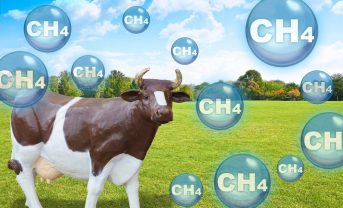 【日本】農水省、飼料添加物による牛の消化管メタン削減が新たにJ-クレジット対象