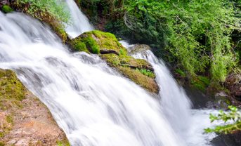 【フランス】REIT大手URW、ネイチャー目標でSBTN承認。11社目で、不動産企業で世界初