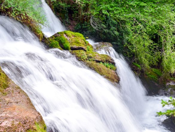 【フランス】REIT大手URW、ネイチャー目標でSBTN承認。11社目で、不動産企業で世界初