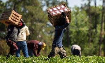 【国際】KnowTheChain、食品・小売45社強制労働ランキング2026。日本6社はスコア低い