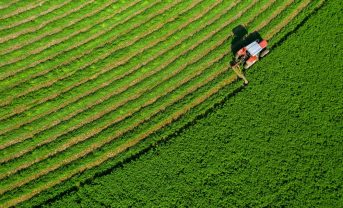 【国際】GHGプロトコル、土地セクター除去（LSR）基準公表。2027年1月から適用