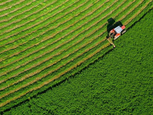 【国際】GHGプロトコル、土地セクター除去（LSR）基準公表。2027年1月から適用