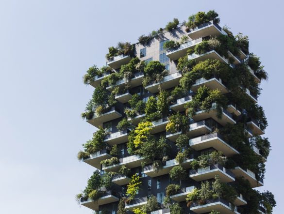 【デンマーク】ランボル、建築サプライチェーンのネイチャーリスク警鐘。LCAで分析