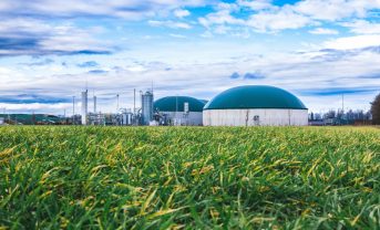 【インド】IEA、インドのバイオ燃料市場で2030年将来予測報告書を発表。