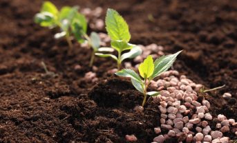 【イギリス】政府、肥料管理計画ツール「NMPT-GB」を無料公開。環境汚染低減