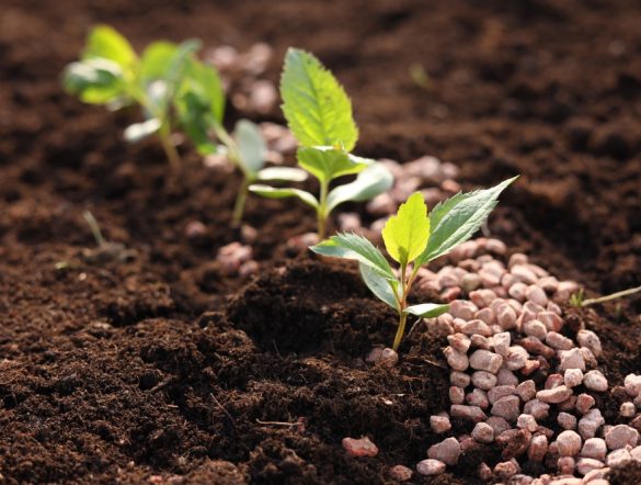 【イギリス】政府、肥料管理計画ツール「NMPT-GB」を無料公開。環境汚染低減