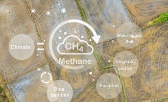 【国際】大手金融機関のメタン削減目標設定は3割のみ。特に農業・畜産で課題。CPI分析