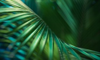 【日本】環境省、生物多様性国家戦略中間評価。一部の施策で進展もネイチャーポジティブ遠く