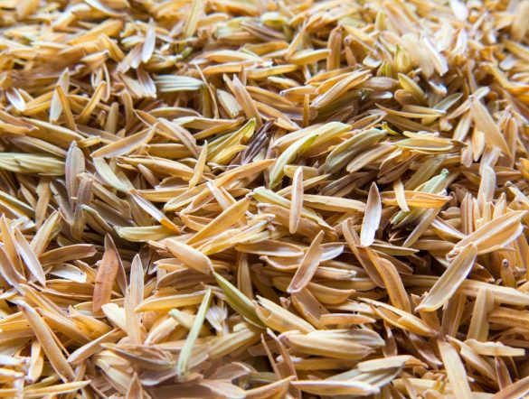 【イタリア】ソルベイ、バイオ・サーキュラー・シリカ製造設備運用開始。もみ殻灰活用