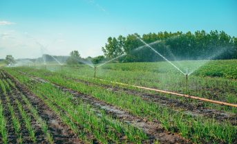 【国際】日本含む59カ国政府、食料安全保障で水資源の重要性強調。閣僚コミュニケ発表