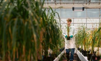 【国際】カールスバーグ、新ESG戦略「Brewing Tomorrow」発表。2032年目標設定