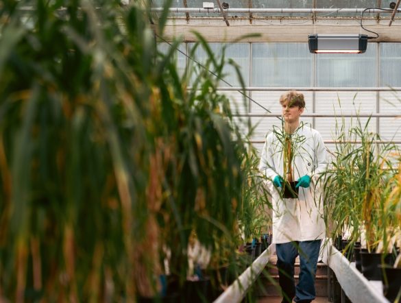 【国際】カールスバーグ、新ESG戦略「Brewing Tomorrow」発表。2032年目標設定