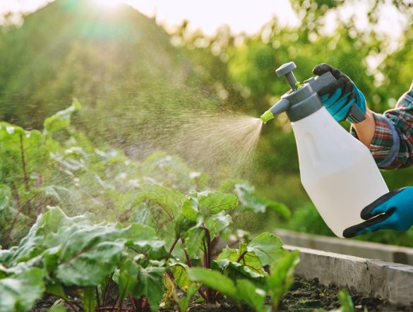 【国際】食品大手の化学農薬リスク方針が後退。ゼネラル・ミルズ首位から0点。As You Sow