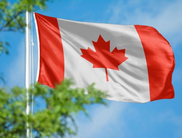 【カナダ】シンクタンク、国内カーボンプライシング制度を評価。制度間連携強化と見直し必要