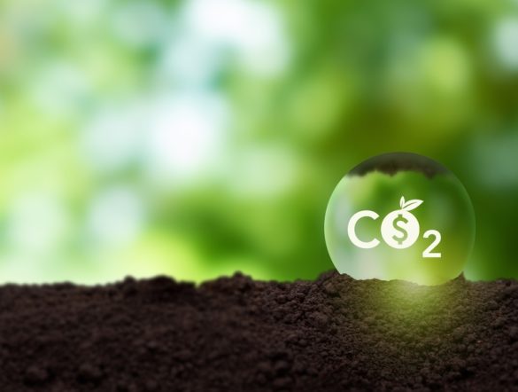 【国際】Verra、カーボンインセット基準S3Sプログラムを2026年第3四半期に開始へ