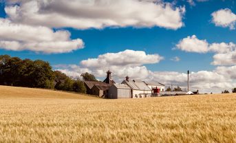 【国際】ディアジオ、気候移行計画公表。水を戦略リスクと位置づけ、流域対応を強化