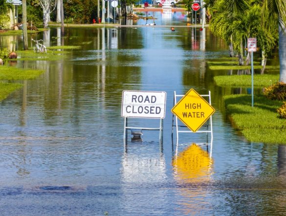 【国際】BCG、企業の気候変動適応投資が2030年に年間1.2兆ドルに拡大と予測。融資需要も拡大