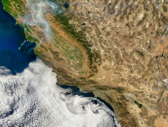 【国際】WMO、2025年気温上昇確定値発表。産業革命から1.43℃上昇。海面上昇や海洋酸性化等も