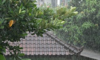 【日本】環境省、企業向けに「気候変動物理的リスク評価手引き」公表。ツールも紹介