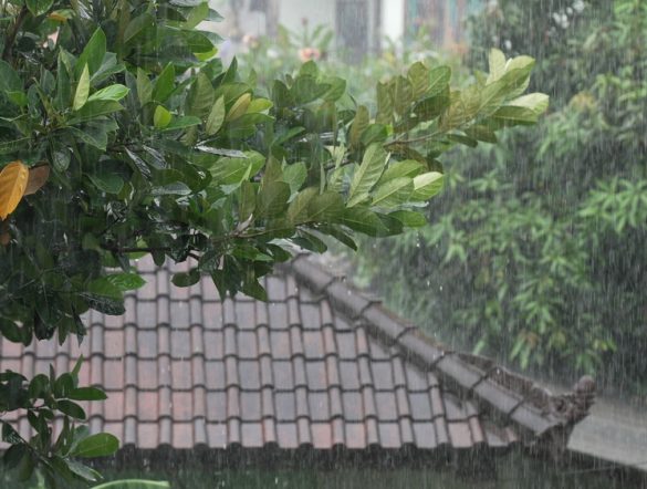 【日本】環境省、企業向けに「気候変動物理的リスク評価手引き」公表。ツールも紹介