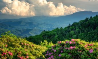 【国際】TNFD、中小企業向け分析ツールで12社をファイナリストに選定。賞金総額10万ドル