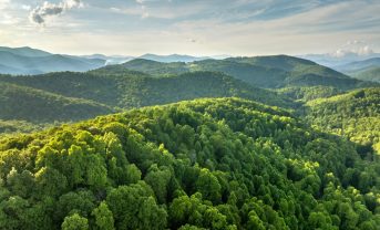 【国際】世界経済フォーラム、ネイチャーポジティブで投資機会50以上特定。2030年までに1600兆円