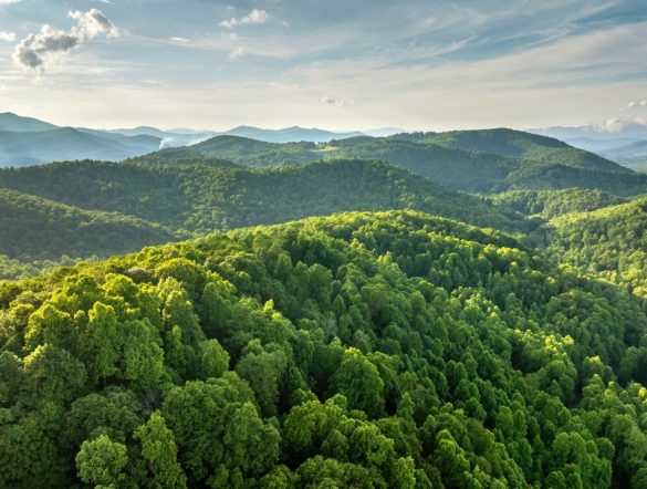 【国際】世界経済フォーラム、ネイチャーポジティブで投資機会50以上特定。2030年までに1600兆円