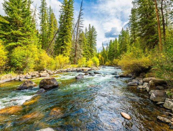 【国際】ペプシコ、2025年水目標達成。水リスク高い自社拠点で水還元100％とAWS取得